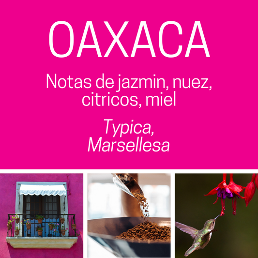 Café de Oaxaca - Lavado