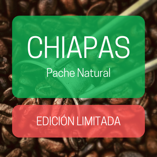 ¡EDICIÓN LIMITADA! Café de Chiapas - Pache Natural