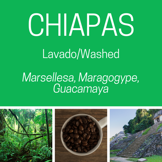 Cafe de Chiapas, Lavado
